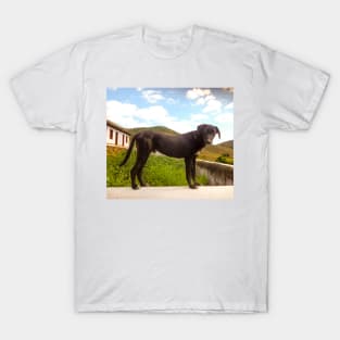 The farmer dog T-Shirt